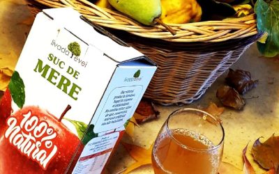 301769287_469916205147836_1017008833428390140_n