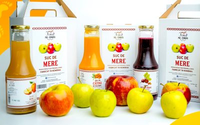 392887381_1046705349634384_6735857450077366890_n