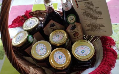 482026775_1313142789730910_942739344639950253_n